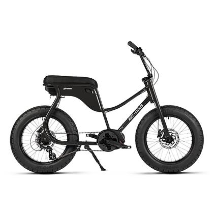 Ruff Cycles Lil Missy E1922 Bosch Electric Bike  One Size / 300Wh