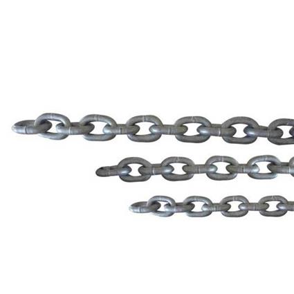 Pewag Corrente Galvanizada Iso G40 100 M