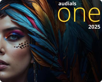 Audials One 2025 1 Ano