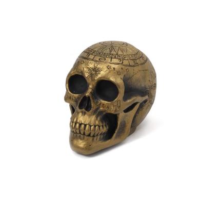 Crânio de cartomante 20x14x14 cm