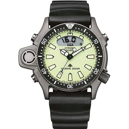 Citizen Relógio Jp2007-17w
