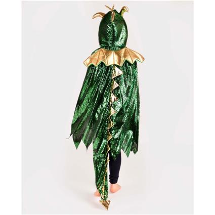 Den Goda Fen Fato De Criança Com Capa De Dragão