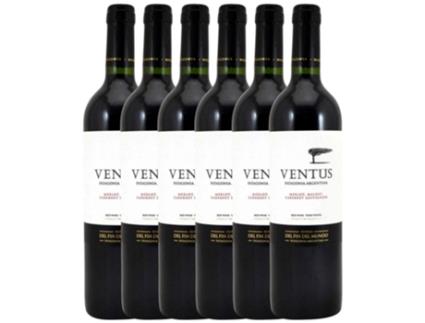 Fin del Mundo Ventus Mendoza 75 cl (Caixa de 6 unidades)