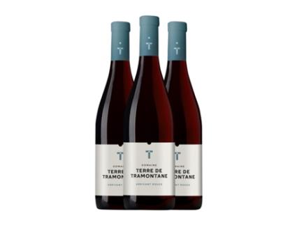 Vinho TERRE DE TRAMONTANE Arrivant Rouge Vin de Pays Languedoc (0.75 L - 3 Unidades)