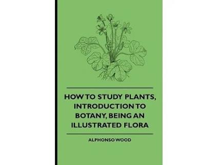 Livro How to Study Plants Introduction to Botany Being an Illustrated Flora de Alphonso Wood Various (Inglês)