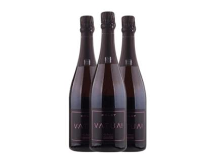 Espumante rosé COLET Vatua Rosé Clássic Merlot Extra Brut Penedès (0.75 L - 3 Unidades)