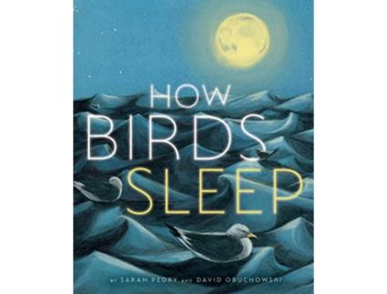 Livro How Birds Sleep de David Obuchowski (Inglês - Capa Dura)