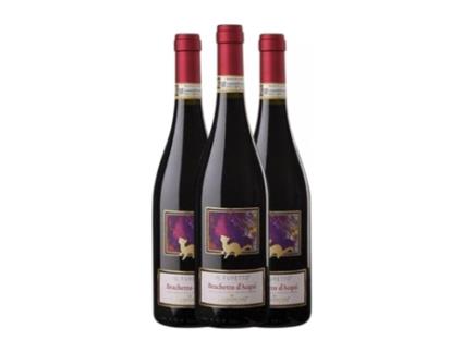 Vinho VITE COLTE Il Furetto Groppello Brachetto d'Acqui (0.75 L - 3 Unidades)