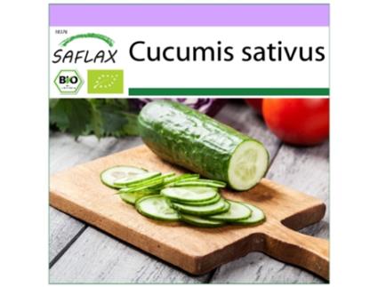 SAFLAX Orgânico Pepino Marketmore Cucumis Sativus 20 Sementes