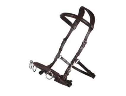 Estábulo de Couro para Cavalos QHP