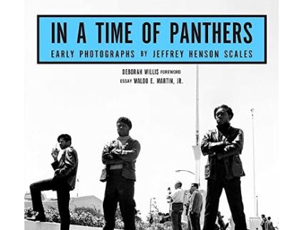 Livro In A Time Of Panthers de Jeffrey Henson Scales (Inglês - Capa Dura)