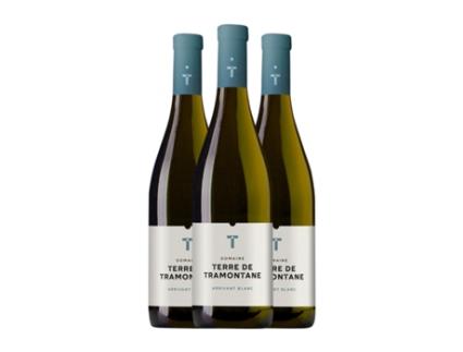 Vinho branco TERRE DE TRAMONTANE Arrivant Blanc Vin de Pays Languedoc (0.75 L - 3 Unidades)
