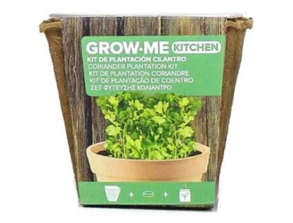 Kit Plantação de Coentros GROW ME