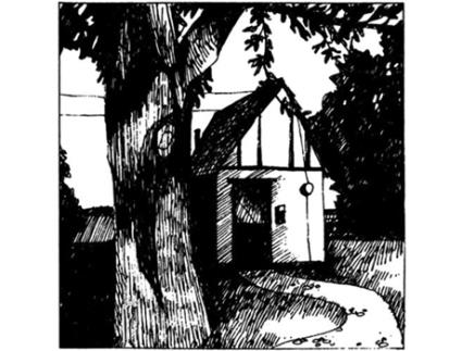 Naomi Cottage Songs Vinil