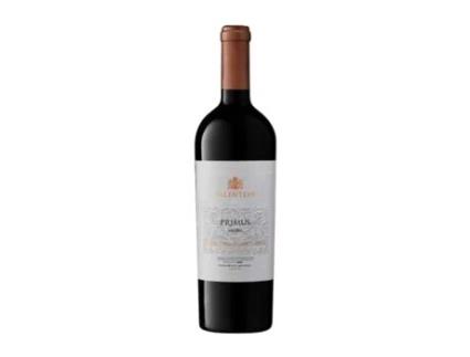 Vinho SALENTEIN Primus Malbec Valle de Uco (0.75 L - 1 Unidade)