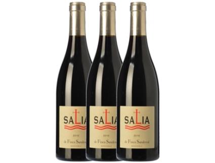 Finca Sandoval Salia Manchuela Joven 75 cl (Caixa de 3 unidades)