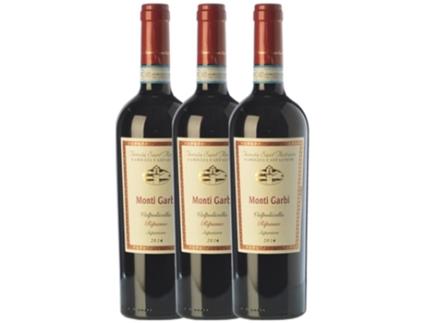 Tenuta Sant'Antonio Monti Garbi Valpolicella Ripasso 75 cl (Caixa de 3 unidades)