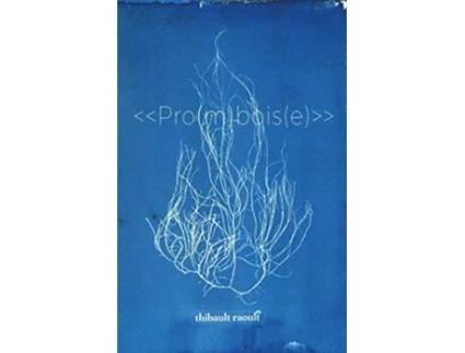 Livro Promboise de Thibault Raoult (Inglês)