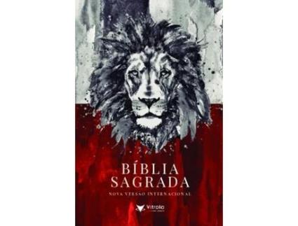 Livro Bíblia Sagrada - Nvi - Vermelho E Cinza de Vitrola Editora (Português)