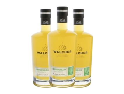 Licores ALFONS WALCHER Limoncello Montepulciano d'Abruzzo (0.7 L - 3 Unidades)