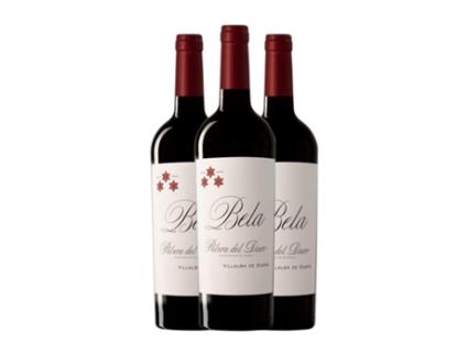 Vinho NORTE DE ESPAÑA - CVNE Bela Ribera del Duero Jovem (0.75 L - 3 Unidades)