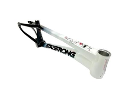 Quadro STAY STRONG For Life V5 2024