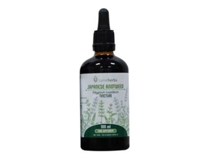 Tintura Reynoutria Japonica Japanese Knotweed LYMEHERBS 1:2 100Ml
