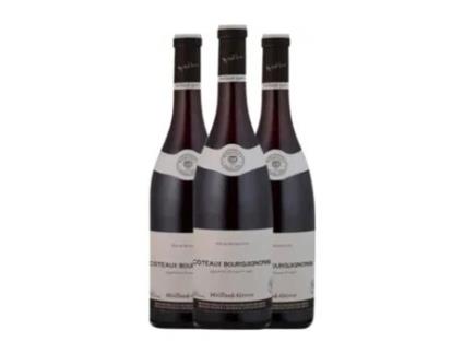 Vinho MOILLARD GRIVOT Tinto Coteaux-Bourguignons Crianza (0.75 L - 3 Unidades)