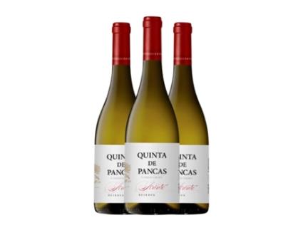 Vinho branco QUINTA DE PANCAS Arinto Vinho Regional de Lisboa Reserva (0.75 L - 3 Unidades)