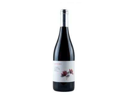 ENTRE PALAVRAS VERMELHO 2018 BODEGA VALDEMONJAS