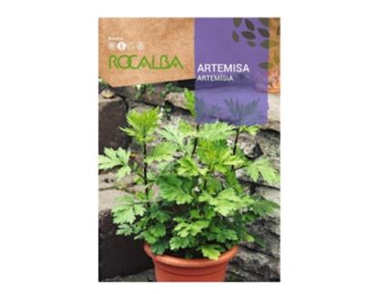 ROCALBA Artemisa Bolsitas Semillas 1G Pack 5 Sobres