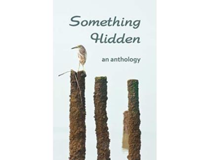 Livro Something Hidden de Ahamed Farah (Inglês)