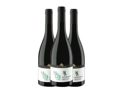 Vinho branco VILLA CORNIOLE Pietramontis Müller-Thurgau Alto Adige (0.75 L - 3 Unidades)