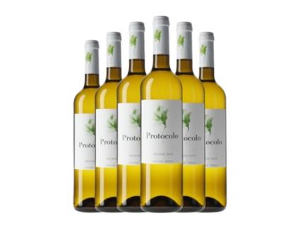 Vinho branco DOMINIO DE EGUREN Protocolo Ecológico Blanco (0.75 L - 6 Unidades)