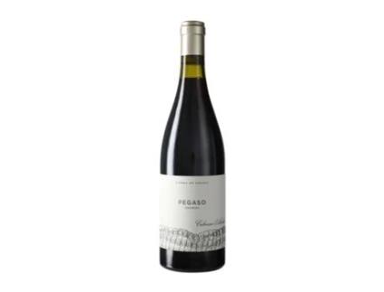 Vinho TELMO RODRÍGUEZ Viñas Viejas de Pegaso Granito Grenache Vino de la Tierra de Castilla y León (0.75 L - 1 Unidade)