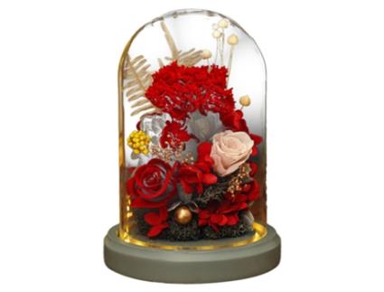 Flor de Cravo em Cúpula de Vidro com Base de Madeira Presente Único Dia dos Namorados Ação de Graças Natal BAZYWTYH