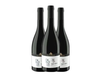 Vinho branco VILLA CORNIOLE Pietramontis Pinot Cinza Alto Adige (0.75 L - 3 Unidades)