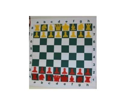 Tabuleiro Mural Magnético EUROCHESS