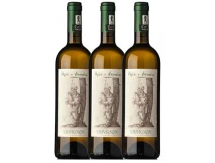 Pojer e Sandri Sauvignon Vigneti delle Dolomiti 75 cl (Caixa de 3 unidades)