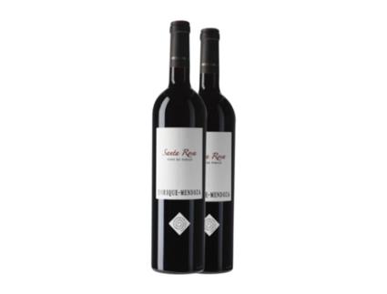 Vinho ENRIQUE MENDOZA Viña Santa Rosa Alicante Reserva (0.75 L - 2 Unidades)