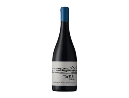 Vinho VIÑA VENTISQUERO Tara Pinot Preto (0.75 L - 1 Unidade)