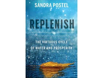 Livro Replenish de Sandra Postel (Inglês)