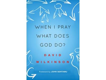Livro When I Pray What Does God Do de David Wilkinson (Inglês)
