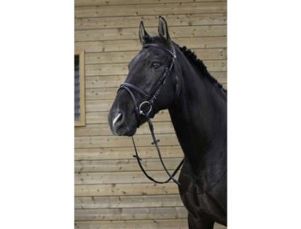 Cabeçada Combine Verde Fullriding World