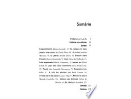 Livro Contos Sobre Tela de Adriana Lunardi (Português do Brasil)