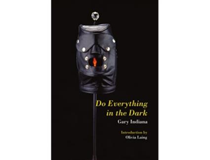 Livro Do Everything in the Dark de Gary Indiana (Inglês)