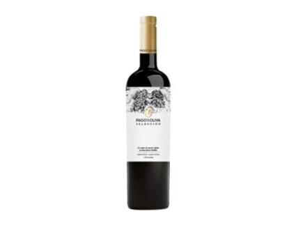 Vinho PAGO DE LA OLIVA Selección Tempranillo Vino de la Tierra de Castilla y León Garrafa Magnum (1.5 L - 1 Unidade)
