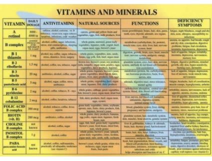 Livro Vitamins Minerals A4 de Jan Van Baarle (Inglês)