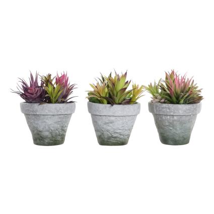 Planta Decorativa  Grés Polipropileno (PP) EVA (3 pcs) (20 x 19 x 22 cm)