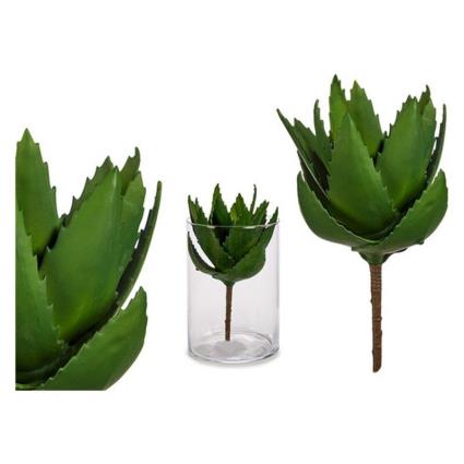 Planta Decorativa Aloé Vera (14 x 23 x 14 cm)